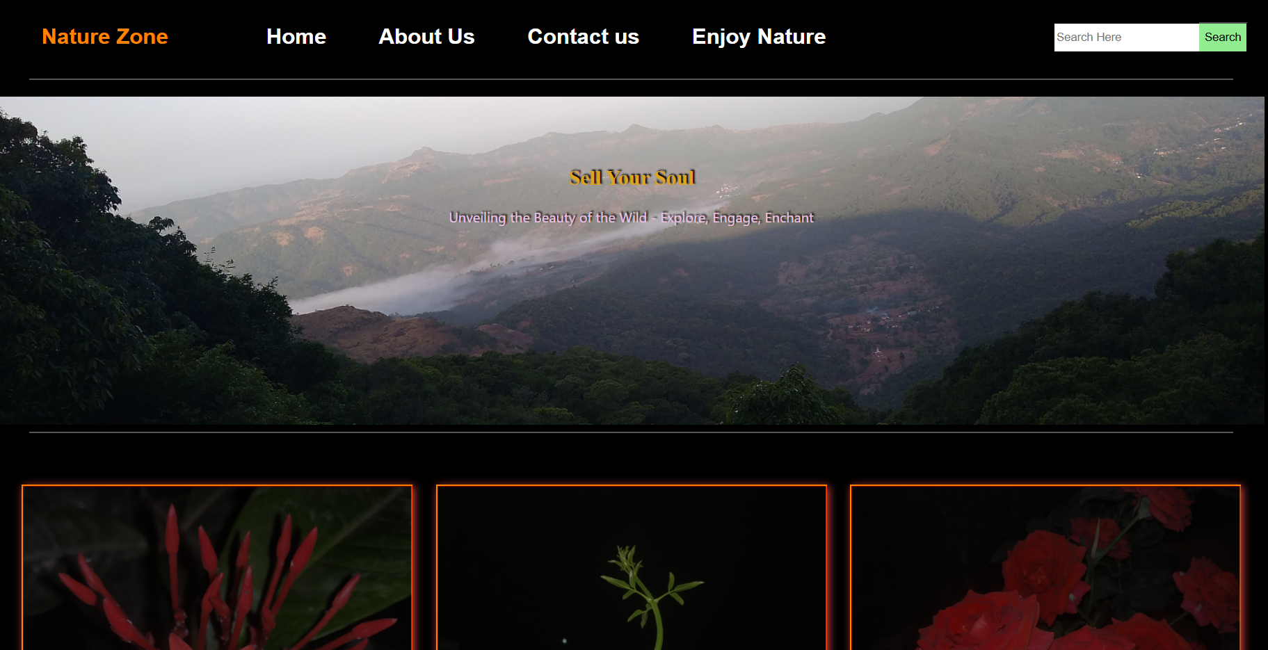 Nature Zone website